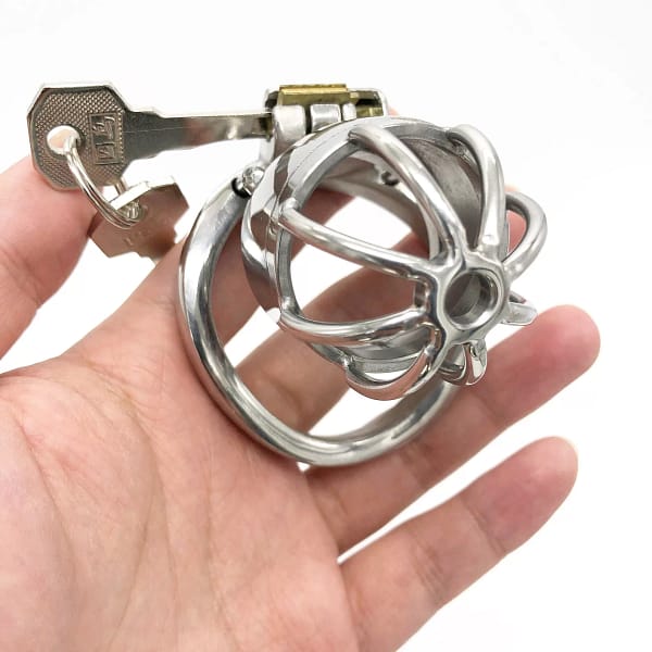 Small Male Chastity Cage Stainless Steel Cock Cage Easy to Metal Chastity Devices Penis Restraints for Men - SMCock